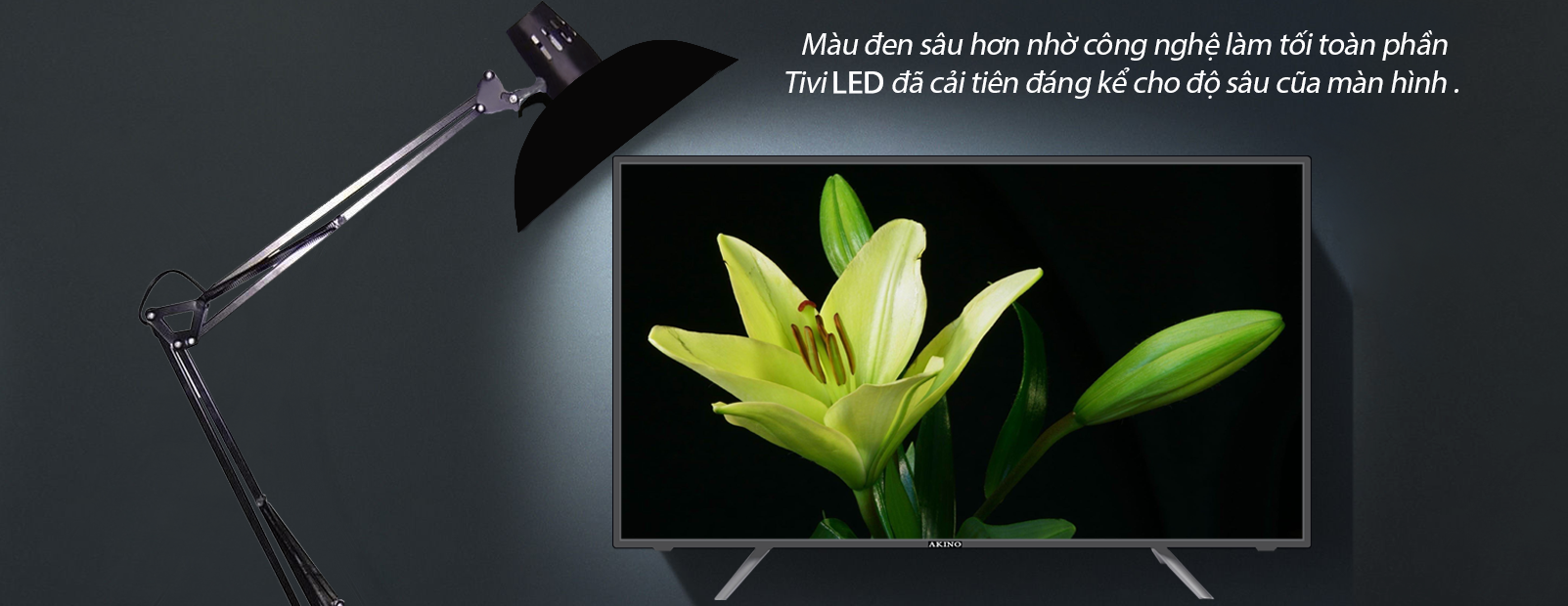 Tivi Led AKINO PA-32TDBV - 32 Inch