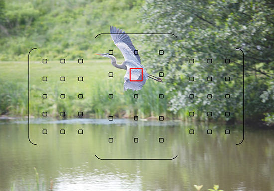 Máy ảnh Canon EOS 80D + Lens EF-S 18 - 135mm IS USM (Lê Bảo Minh)