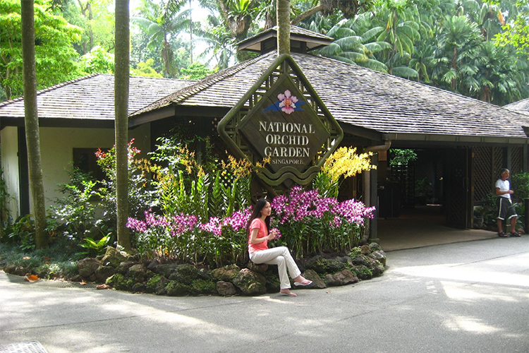 Vé Tham Quan Vườn Lan National Orchid Garden Ở Singapore