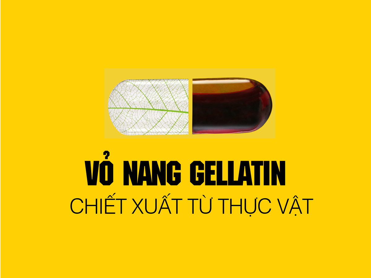 Thực Phẩm Bảo Vệ Sức Khỏe Nghệ Micell Adiva (720mg x 14 Viên / Hộp)