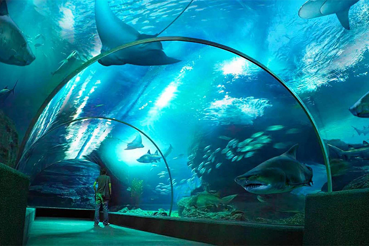 Vé Thủy Cung Underwater World Ở Pattaya, Thái Lan