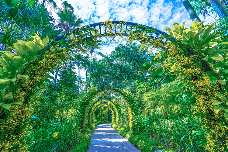 Vé Tham Quan Vườn Lan National Orchid Garden Ở Singapore