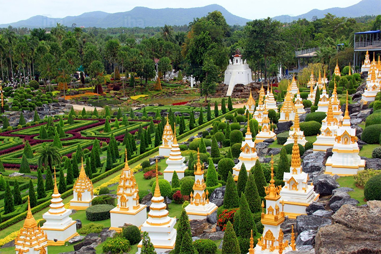 Vé Vào Cổng + Show Văn Hóa Thái + Show Biểu Diễn Voi Tại Vườn Nhiệt Đới Nong Nooch Ở Pattaya, Thái Lan