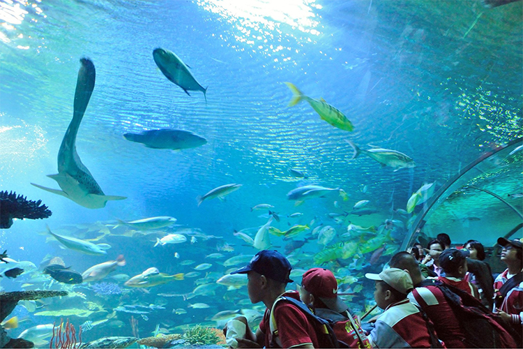 Vé Tham Quan Chiang Mai Zoo Aquarium, Thái Lan