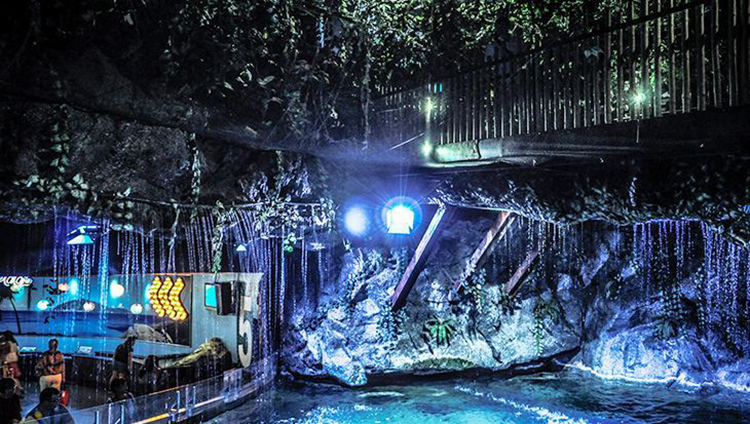 Vé Sea Life Bangkok Ocean World (Thủy Cung + Xem Show) BKK01301