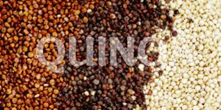 Hạt Diêm Mạch Hữu Cơ Úc Mix 3 Màu (Quinoa Mix Túi 400gram) 1