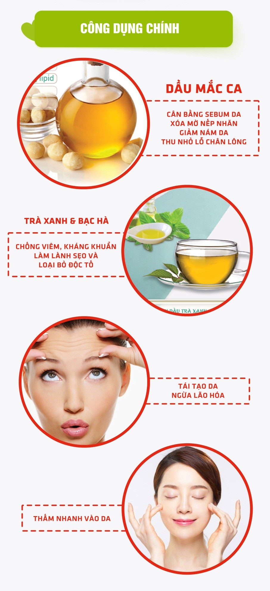 Serum dưỡng da chống lão hóa từ hạt mắc ca Macaland 10ml