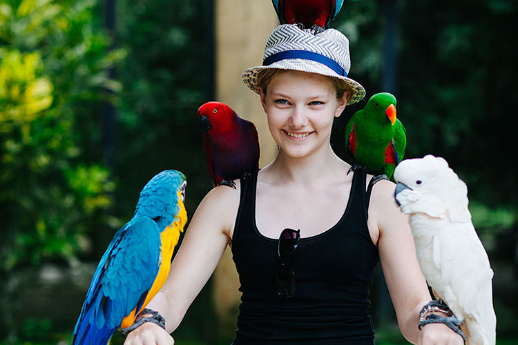Vé Tham Quan Bali Bird Park, Indonesia