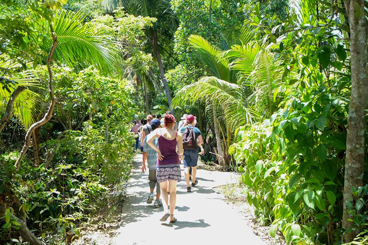 Tour Tiết Kiệm: Mỹ Tho - Bến Tre 1 Ngày, Khởi Hành Hàng Ngày