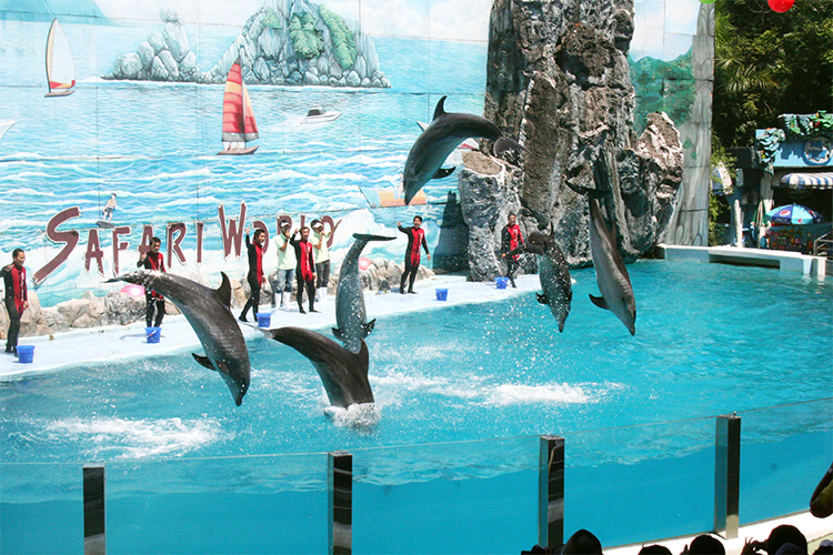 Vé Safari World Bangkok, Thái Lan - Package C: Safari Park + Marine Park + Show Thú