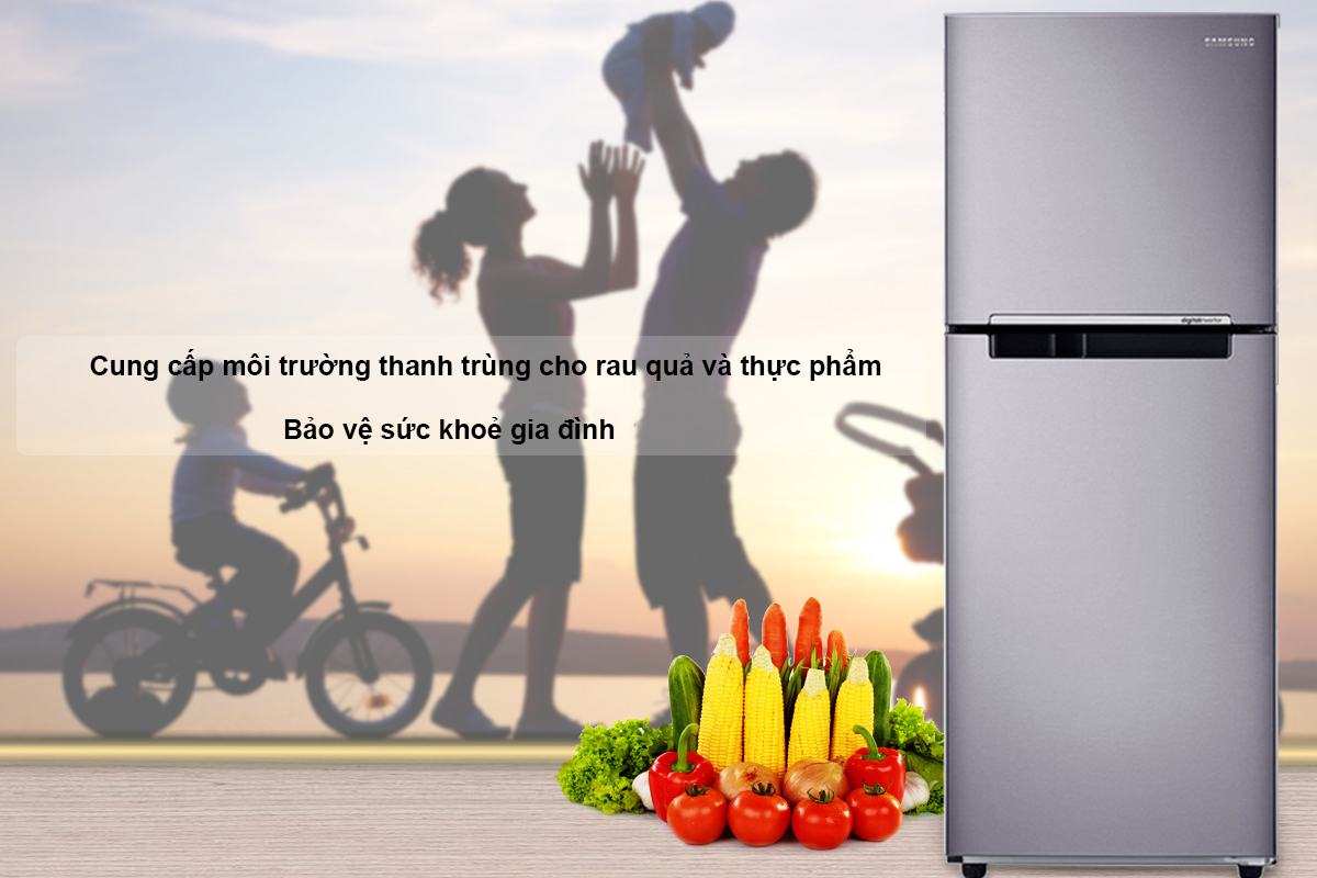 Tủ Lạnh Inverter Samsung RT20HAR8DSA/SV (203L)