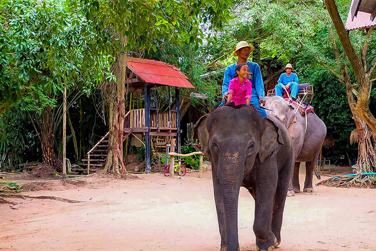 Vé Tham Quan Làng Voi Pattaya, Thái Lan - Một Giờ Trekking Cùng Voi (10: 30 - 11:30)
