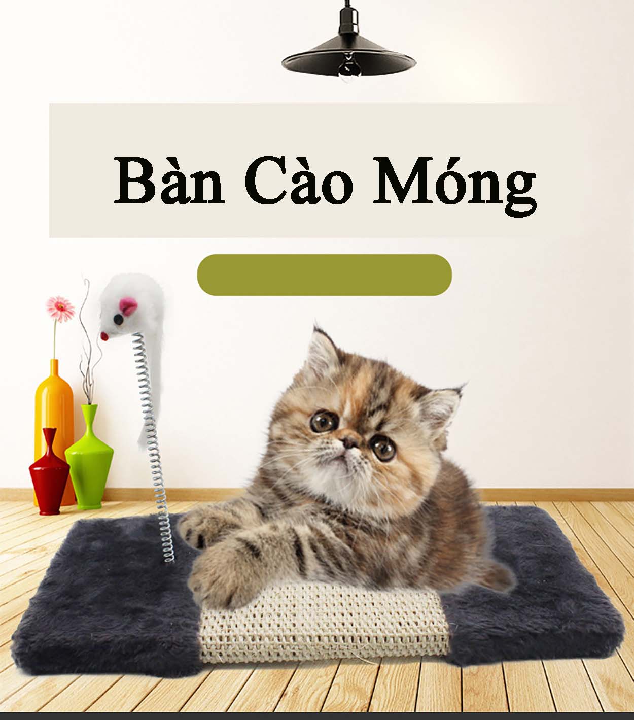 Miếng cào móng cao cấp cho mèo