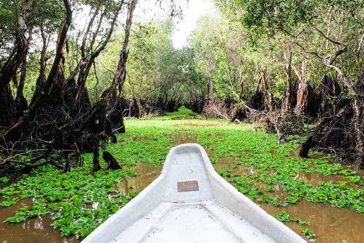 Tour Tiết Kiệm: Mỹ Tho - Bến Tre - Cần Thơ 2N1Đ, Khách Sạn 2 Sao