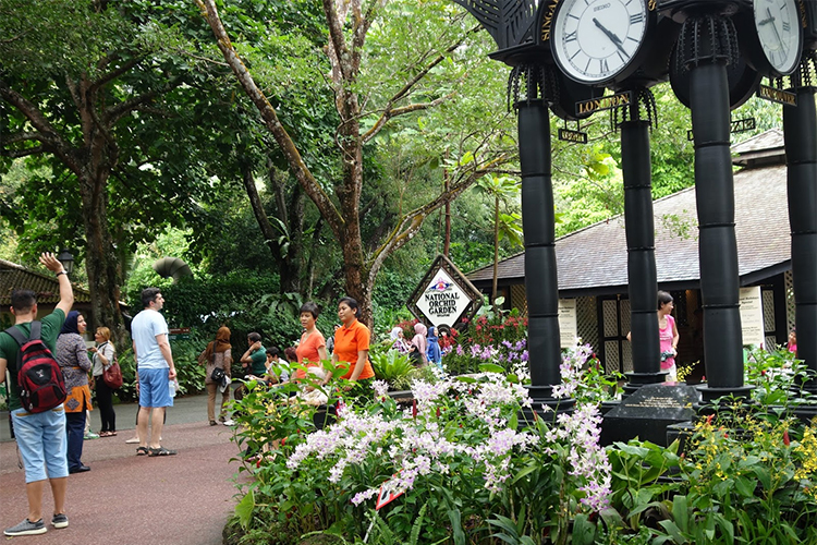 Vé Tham Quan Vườn Lan National Orchid Garden Ở Singapore