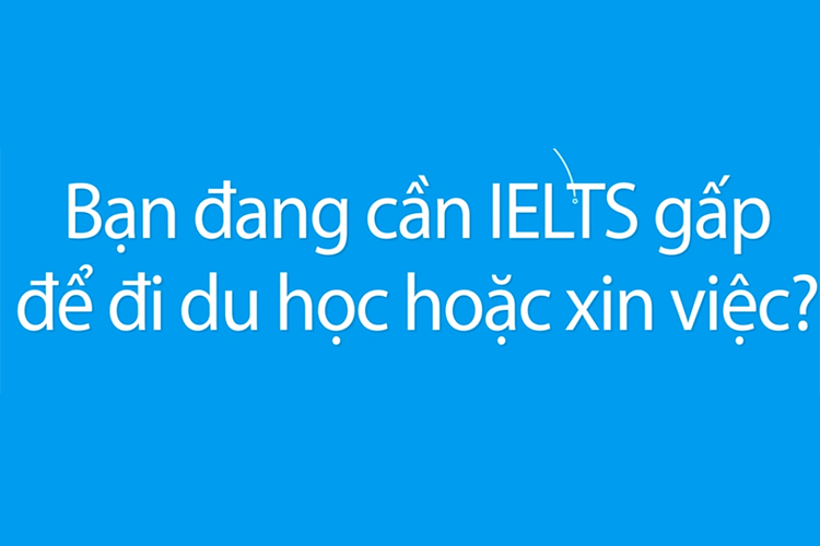 Khóa Học Tự Học IELTS Cho Người Bắt Đầu