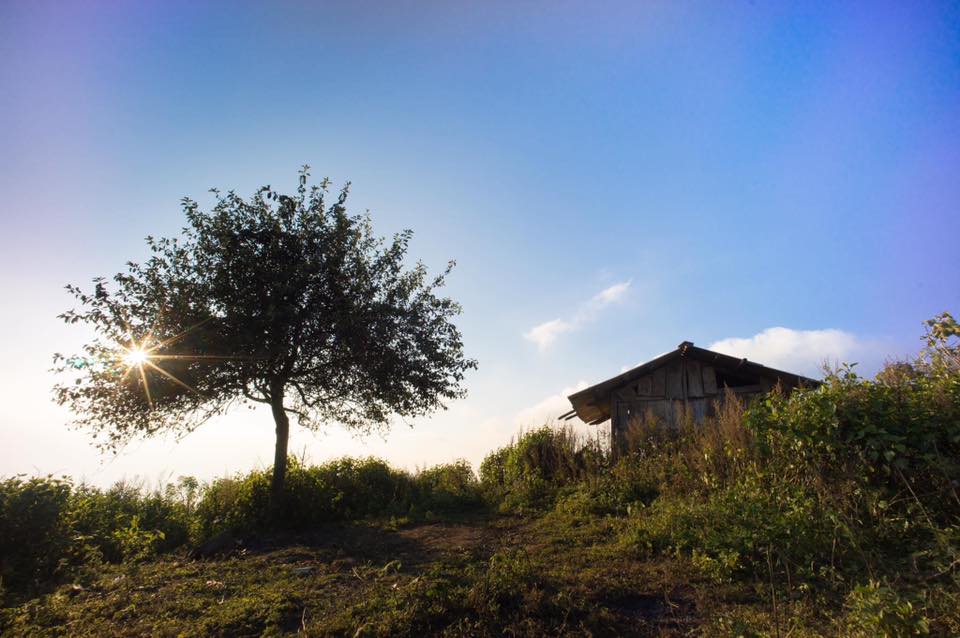 Tour HN - Săn Mây Tà Xùa 2N1Đ, Khởi Hành Tháng 11, 12