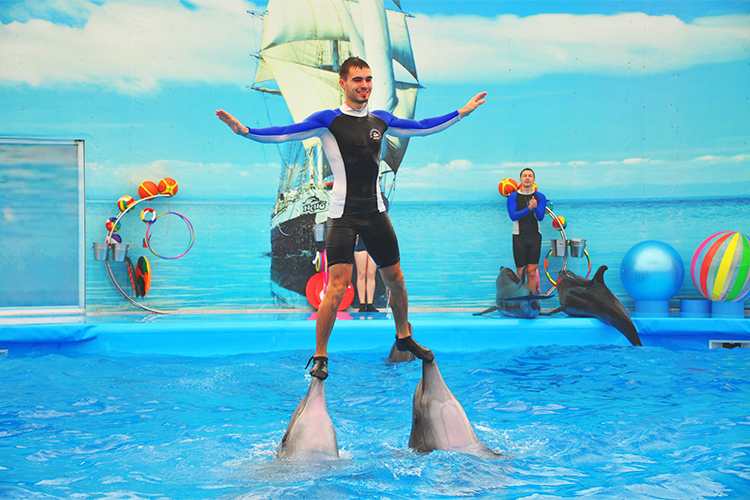 Vé Dolphins Bay Nemo Phuket, Thái Lan - Ghế Thường