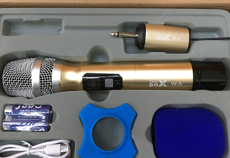 Micro Không Dây W5