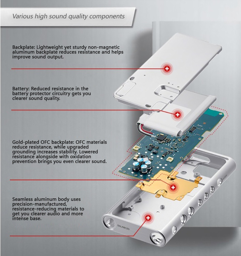 Máy Nghe Nhạc Sony NW-ZX300A
