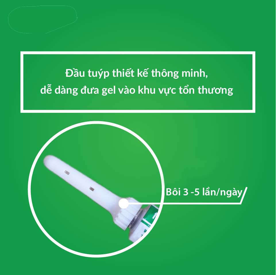 Proctogel - Gel bôi Trĩ từ Ý