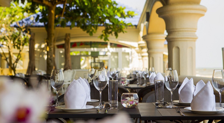 Káº¿t quáº£ hÃ¬nh áº£nh cho lan rá»«ng phÆ°á»c háº£i