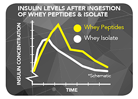 Combo Sữa tăng cơ giảm mỡ Nitro Tech 100% Whey Gold của Muscle tech hương socola hộp 76 lần dùng & Bình lắc 600 ml & Áo Gym size M