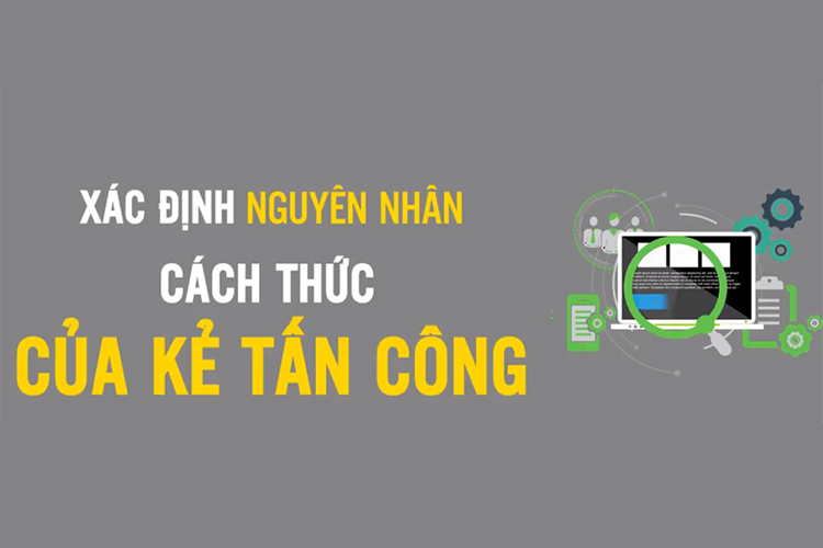 Khóa Học Hacker Mũ Trắng Aeh