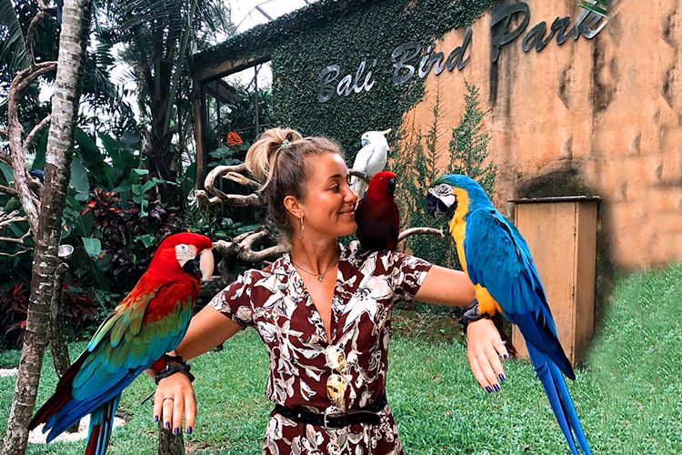 Vé Tham Quan Bali Bird Park, Indonesia