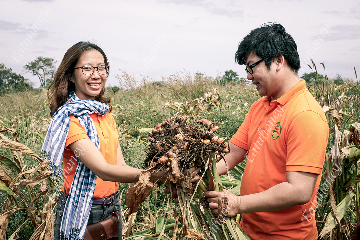 Tinh bột nghệ rừng Eatuhoney