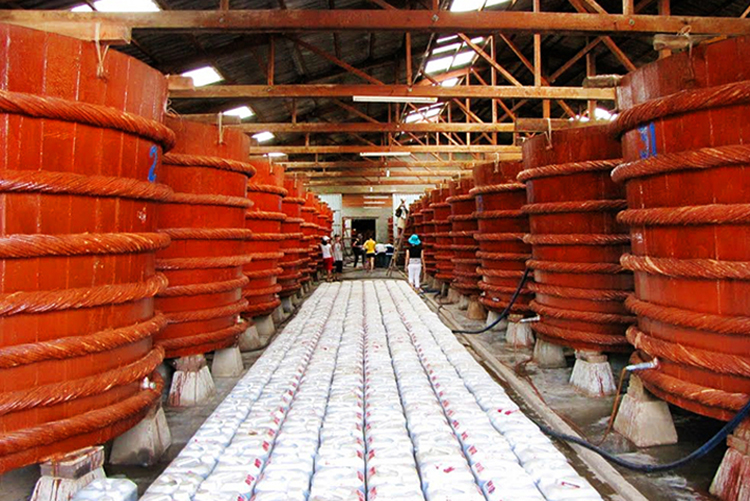 Tour Hè Phú Quốc, Tham Quan Nam & Đông Đảo 01 Ngày, KH Hàng Ngày