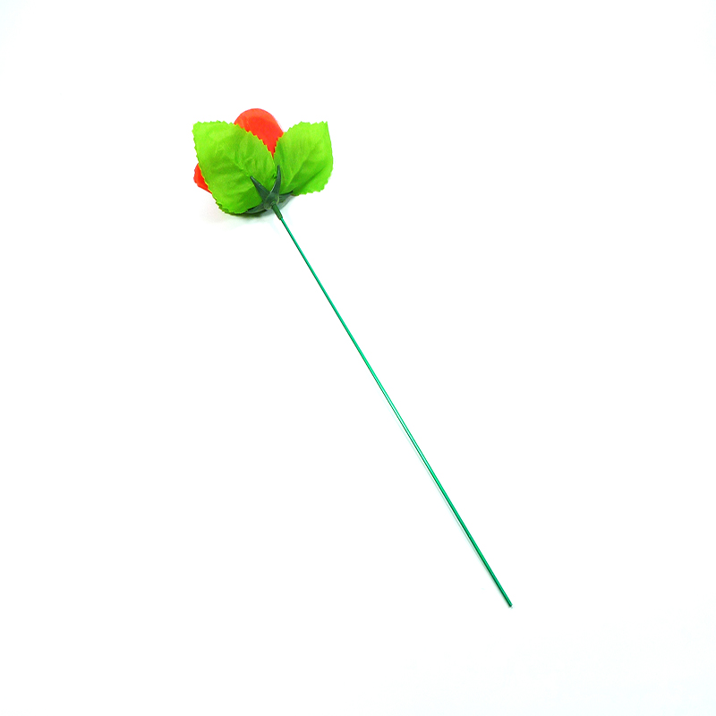 Đồ chơi ảo thuật: lửa ra bông hồng