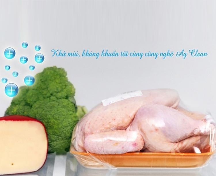 Tủ Lạnh Inverter Panasonic NR-BL359PKVN (326L)