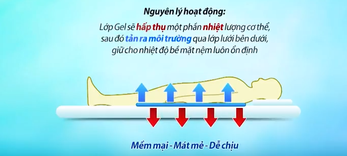 Nệm làm mát- NGS Gold 