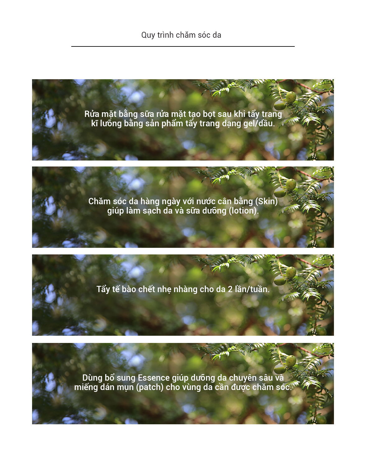 Gel Tẩy Trang Từ Dầu Bija Innisfree Bija Trouble Cleansing Gel (150ml)