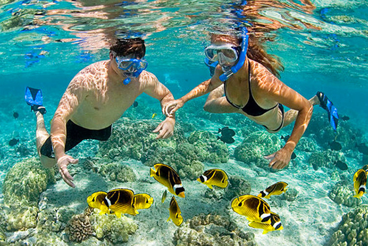 Tour Hè Phú Quốc - Bắc Đảo: Câu Cá, Lặn Ngắm San Hô 01 Ngày, KH Hàng Ngày