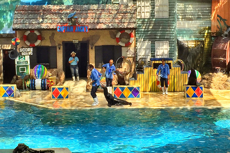 Vé Safari World Bangkok, Thái Lan - Package C: Safari Park + Marine Park + Show Thú