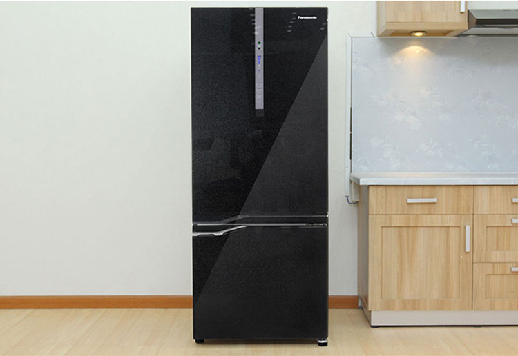 Tủ Lạnh Inverter Panasonic NR-BV288GKV2 (255L)