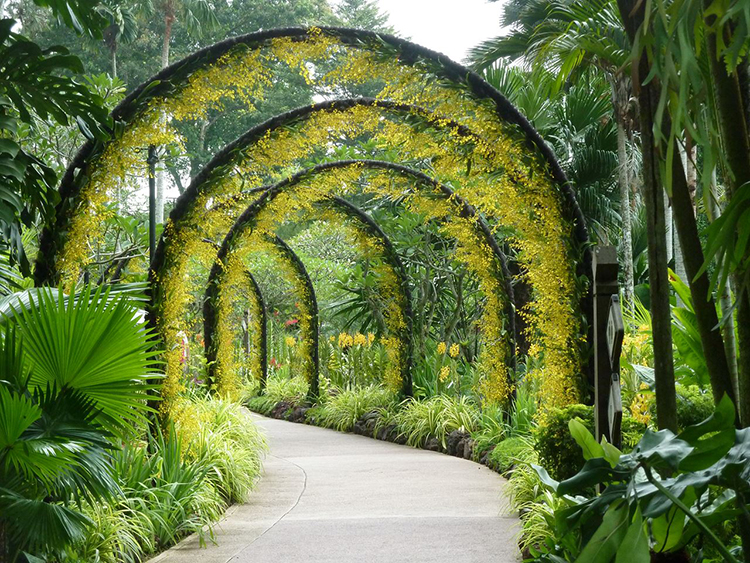 Vé National Orchid Garden SIN04501