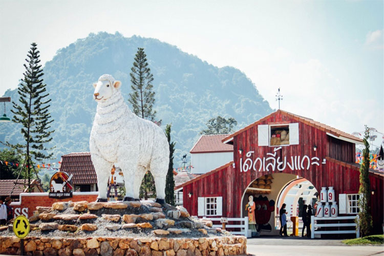 Vé Nông Trại Cừu Swiss Sheep Farm Pattaya
