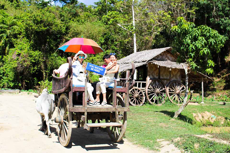 Vé Phuket Safari Gói D + Bữa Trưa (08:00 -12:30)