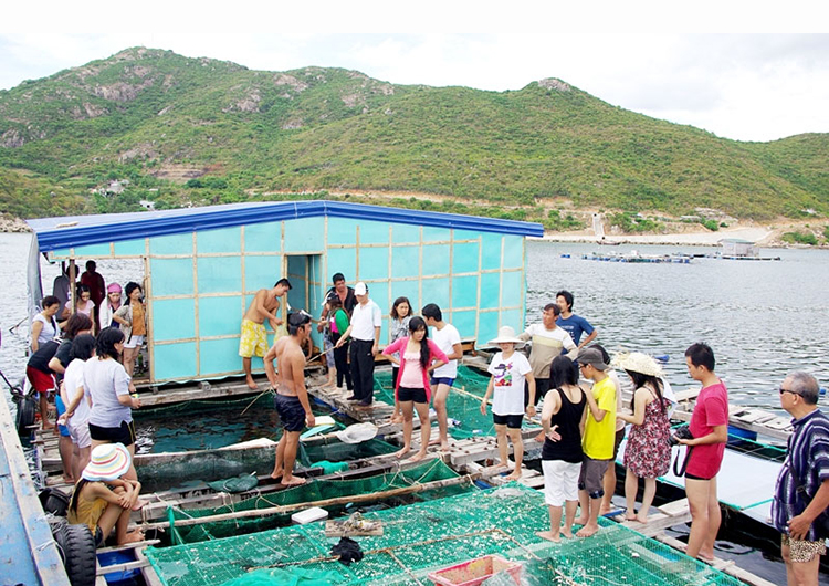 [Tour Xe Lửa] Bình Ba - Nha Trang 3N4Đ, Khởi Hành Hàng Tuần Và Lễ