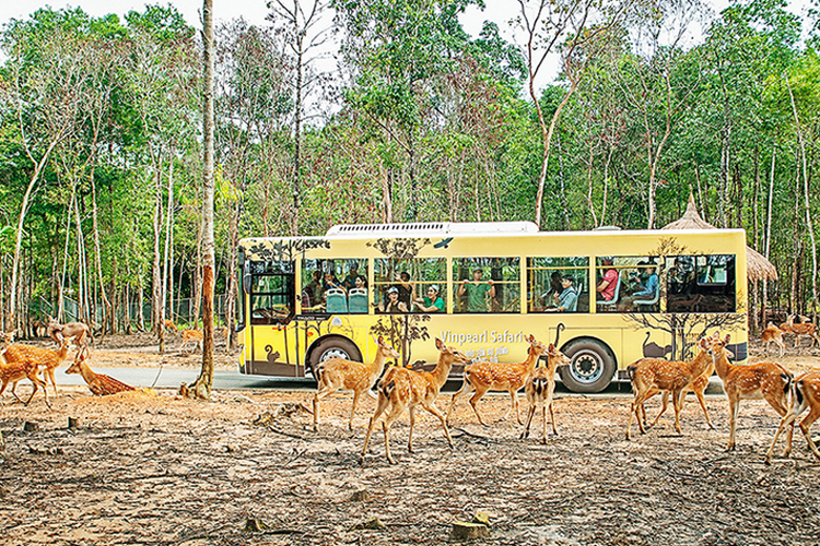 Vinpearl Phú Quốc 5* - Villa 02 Phòng Ngủ + Ăn 03 Bữa + Vinpearl Land & Safari