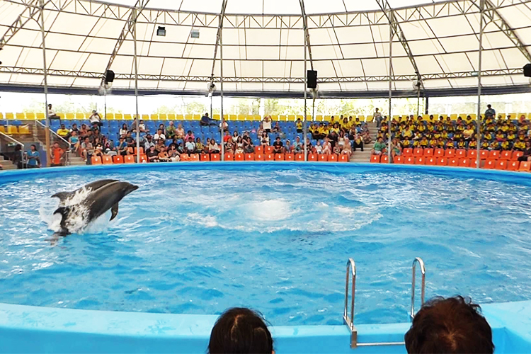 Vé Dolphins Bay Nemo Phuket, Thái Lan - Ghế Thường