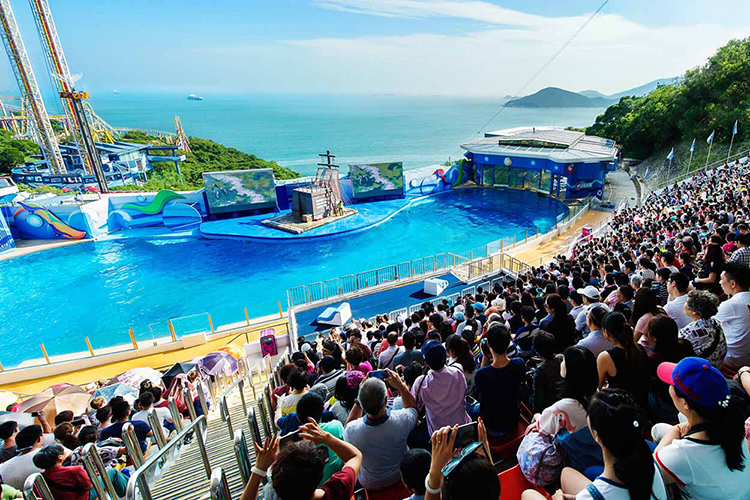 Vé Tham Quan Công Viên Ocean Park, Hong Kong