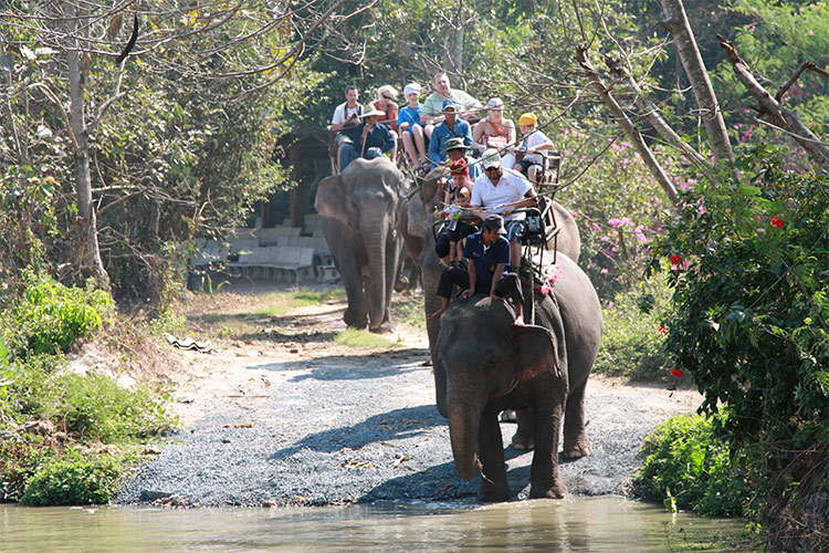 Vé Tham Quan Làng Voi Pattaya, Thái Lan - Một Giờ Trekking Cùng Voi (10: 30 - 11:30)
