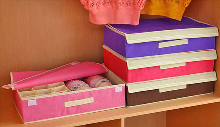 Hộp Đựng Đồ Lót 16 Ngăn Khung Cứng Có Nắp Đậy