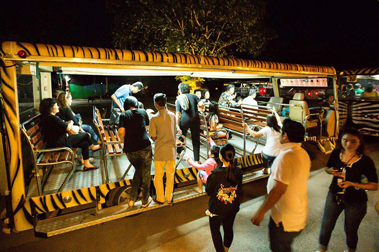 Vé Tham Quan Chiang Mai Night Safari, Thái Lan Ban Ngày (15:00 - 16:30)
