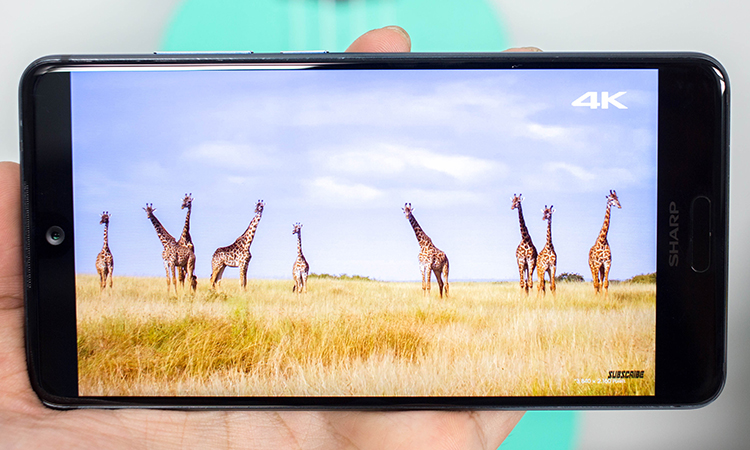 Điện Thoại Sharp AQUOS S2 - Hàng Chính Hãng - Xanh