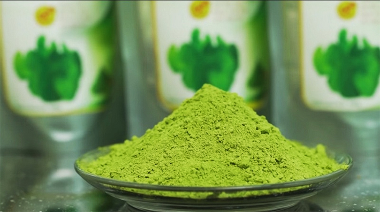 Bột Rau Má Quảng Thanh (100g)